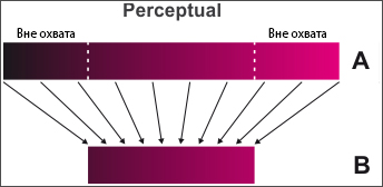        - Perceptual