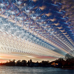  -   .  Matt Molloy