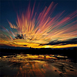  -   .  Matt Molloy