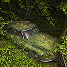 Peter Lippmann  Paradise parking