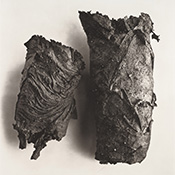    (Irving Penn)   (The cigarettes)   (Still life)