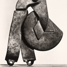    (Irving Penn)       (Still life)