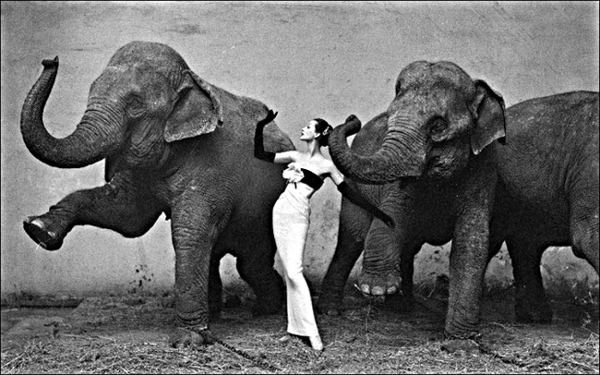    (Richard Avedon)