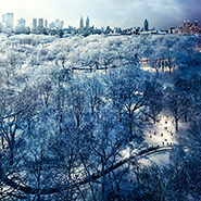 Central Park, NYC -    (Stephen Wilkes)