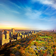 Central Park, NYC -    (Stephen Wilkes)